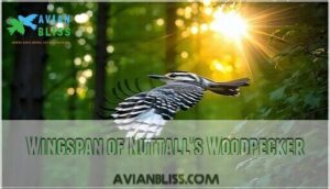 wingspan of nuttall's woodpecker