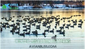 winter migration patterns