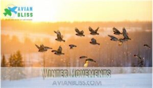 winter movements winter movements