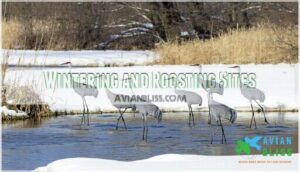 wintering and roosting sites