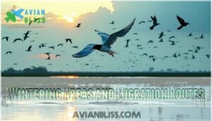 wintering areas and migration routes