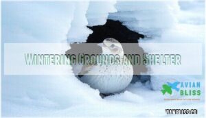 wintering grounds and shelter