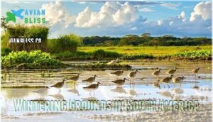 wintering grounds in south america