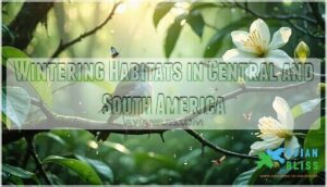 wintering habitats in central and south america