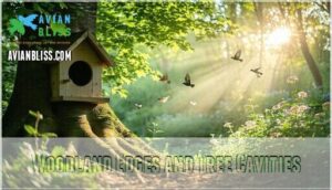 woodland edges and tree cavities