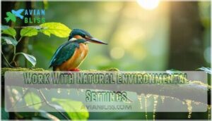 work with natural environmental settings