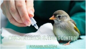 wound care and bleeding control