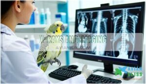 x-rays and imaging
