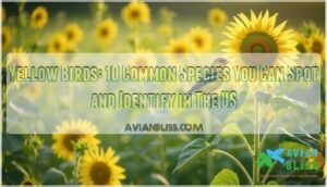 yellow birds