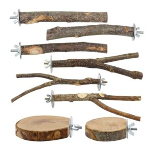 8 Piece Set Natural Wood Bird B0F1CFB8V4