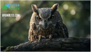 adaptations for hunting success