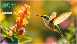 adaptations of the hummingbird hawk-moth