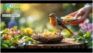 aftercare and rehabilitation for injured birds