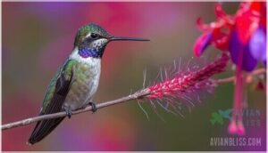 aligning and “zipping” feathers