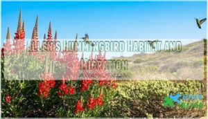 allen's hummingbird habitat and migration