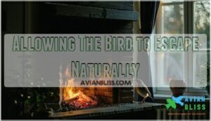 allowing the bird to escape naturally allowing the bird to escape naturally