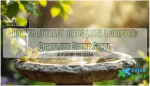 attract birds with a dripper