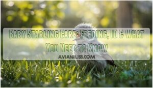 baby starling