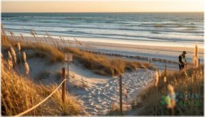 beach bird conservation