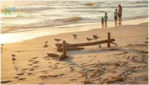 beach sharing etiquette