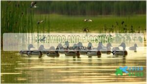 behavior and flocking