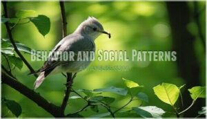 behavior and social patterns