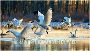 behavior, diet, and life cycle