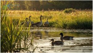 behavioral and habitat differences