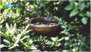 best placement for diy bird baths