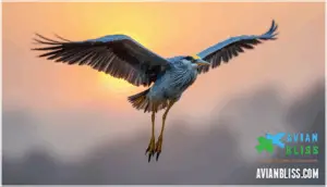 bill, legs, and flight posture