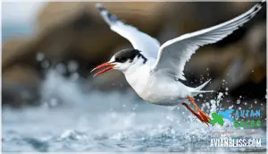 bill shape and color