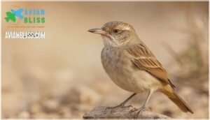 bill shape and eye color