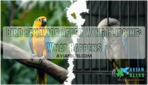 bird behavior after wing clipping bird behavior after wing clipping