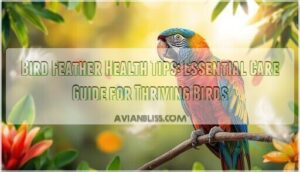 bird feather health tips