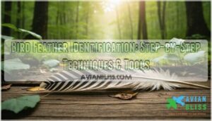 bird feather identification techniques