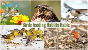 bird feeding habits bird feeding habits