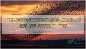 bird flocking behavior explained