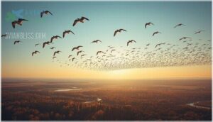 bird migration and wintering grounds