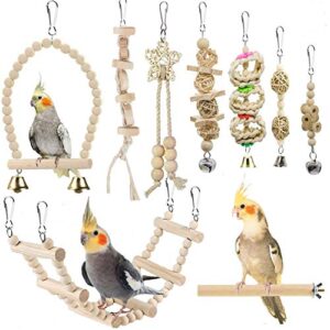 Bird Parrot Swing Toys, Chewing B087NVY4ZH