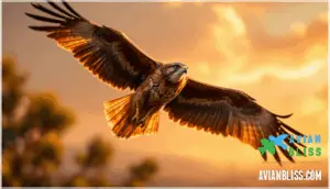 bird sensory adaptations bird sensory adaptations