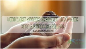 bird wing sprain recovery time