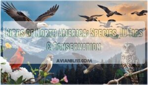 birds of north america