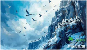 black-legged kittiwakes in art and culture