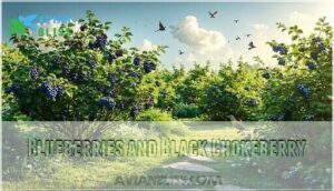 blueberries and black chokeberry