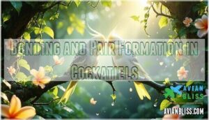 bonding and pair formation in cockatiels