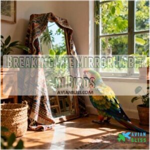 breaking the mirror habit in birds