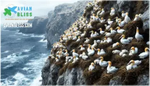 breeding and nesting behaviors