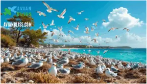 breeding biology and life cycle