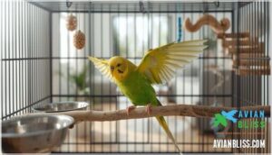 cage size and layout considerations