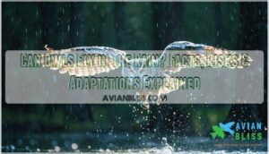 can owls fly in the rain